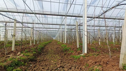 “会种地” “慧种地”!智慧农业为乡村振兴注入新动能