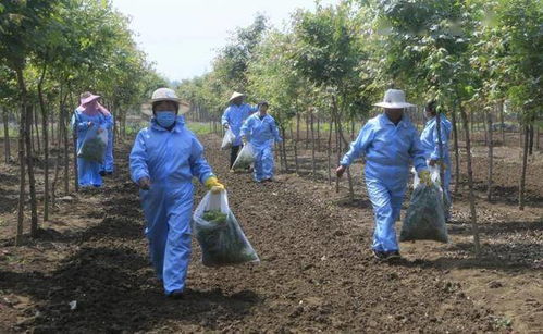 喜讯 苗木繁育先锋荣获省级隆重表彰